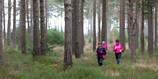 Autumn 2024- Over 50s - Couch to 5km beginners running (13 weeks) £Free primary image