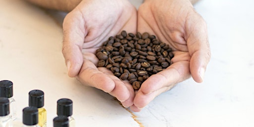 Primaire afbeelding van MASTERCLASS -EN- Introduction to Coffee, Sensory Workshop & Tasting