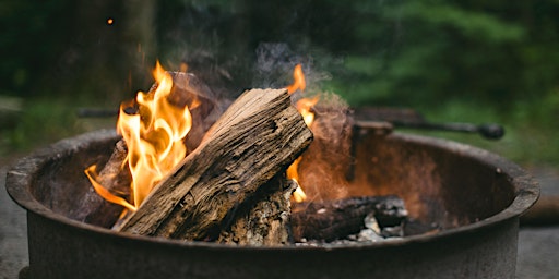 Working with the Elements in Ecotherapy: Fire (with Caroline Brazier)  primärbild