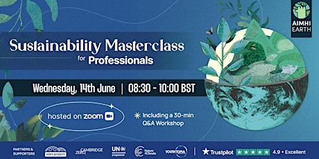 Sustainability Masterclass for Professionals