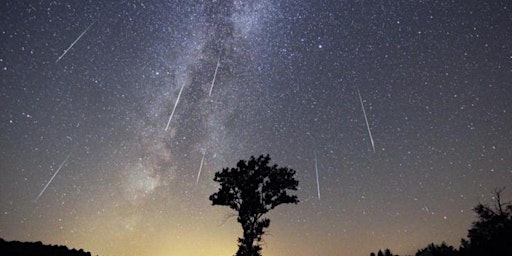 Perseid Meteor Shower I primary image