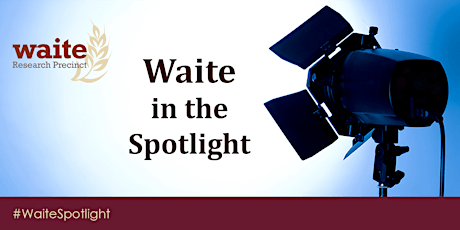 Waite in the Spotlight 2018 primary image