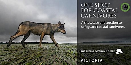 Primaire afbeelding van One shot for Coastal Carnivores - Collection - Nature Talks, Victoria