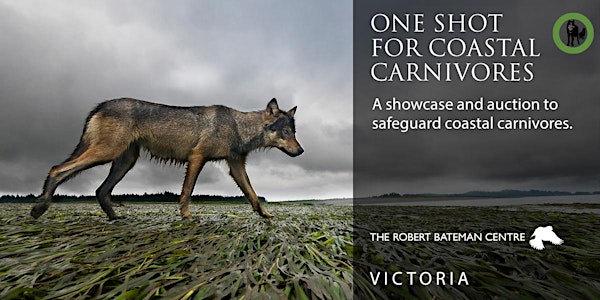 One shot for Coastal Carnivores - Collection - Nature Talks, Victoria