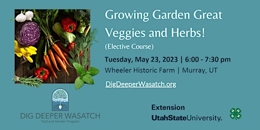Growing Garden Great Veggies and Herbs! (Elective Course) primary image