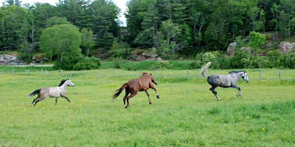 Equine Industry Symposium