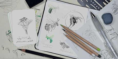 DRAWING BUMBLE BEES ON PAPER (AND INTO YOUR YARD!)