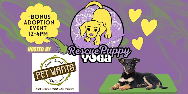 Rescue Puppy Yoga -  Pet Wants Olde Town Arvada