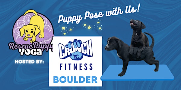 Rescue Puppy Yoga - Crunch Fitness Boulder