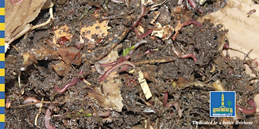 Hauptbild für World Composting Day: Composting 101