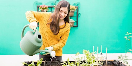 DIY Living - How to Grow a Vegetable Garden