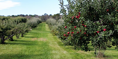 Cider Revisited – Hot Off The Press primary image