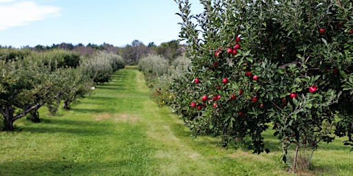 Hauptbild für Cider Revisited – Hot Off The Press