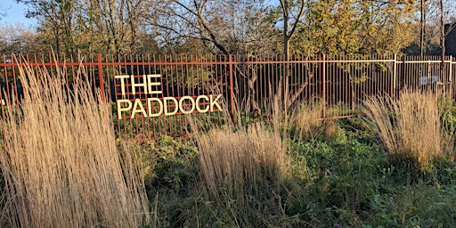 Image principale de The Paddock Wildflower walk