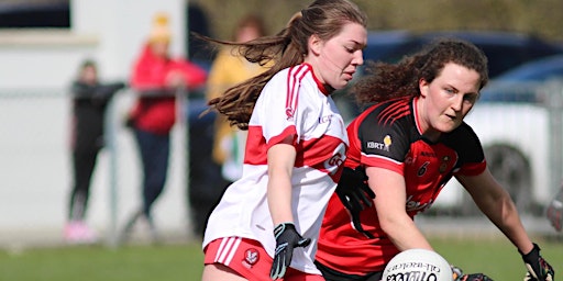 Immagine principale di ULGFA Teenage Roadshows - Ballinderry Shamrocks GAC 