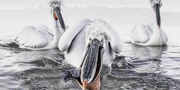 Photography, A Talk with Tracey Lund