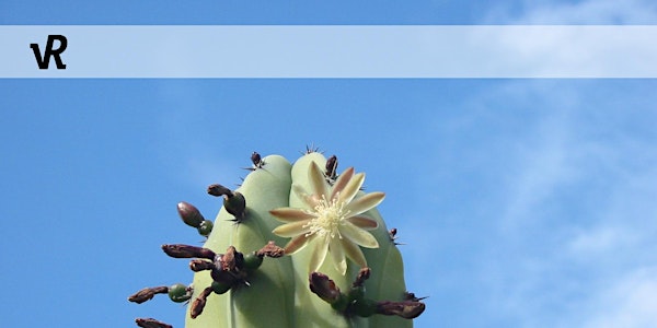 Thementag Online-Marketing und Vertrieb