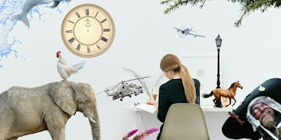 Essay writers of sarasota