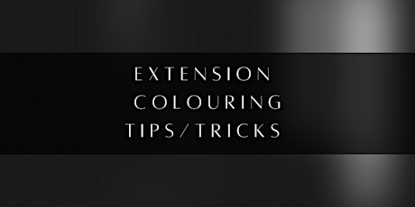Colouring Extensions 101