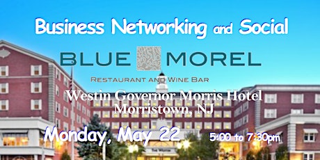 Business Networking ~ Blue Morel at Westin Governor Morris, Morristown, NJ