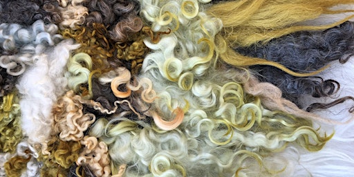 Imagen principal de WOOL SALAD: A Workshop to Whet Your Appetite for Felting