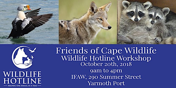Wildlife Hotline Training Workshop