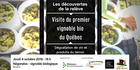 Les découvertes de la relève - Visite du premier vignoble bio du Québec primary image