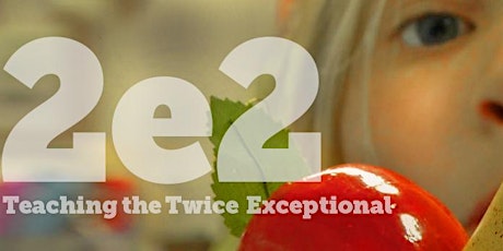 Newly Released Film! 2e2:  Teaching the Twice Exceptional Screening + Director Q&A primary image