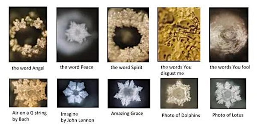 Friends of Water: The Work of Dr. Emoto primary image