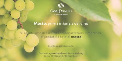 Mosto - Prima infanzia del vino Mosto - Prima infanzia del vino
