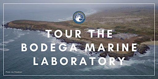 Imagem principal do evento Public Tours of Bodega Marine Laboratory