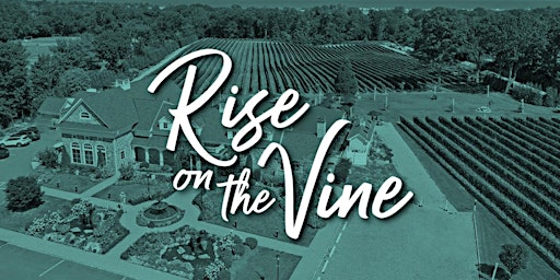 Rise On The Vine - Del Vino Vineyards primary image