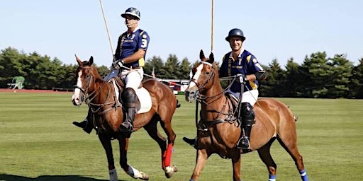 THE DETROIT POLO CLASSIC primary image
