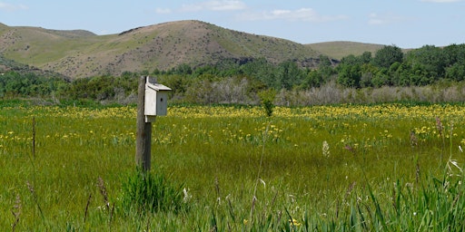 Immagine principale di Field Trip: Montour/High Valley 