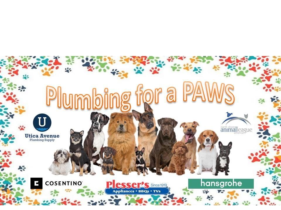 Plumbing For A Paws 18 Oct 2018 Plumbing For A Paws