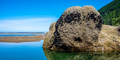 Immagine principale di World Oceans Day at Cape Falcon Marine Reserve 