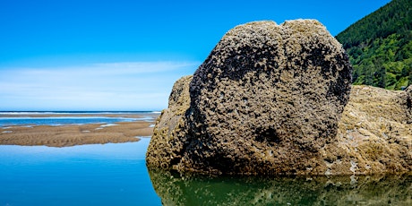 World Oceans Day at Cape Falcon Marine Reserve