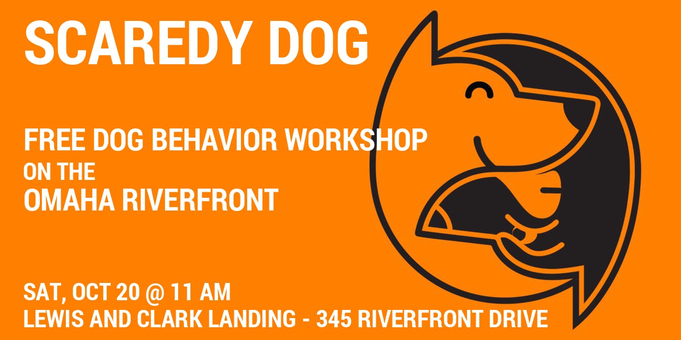 Scaredy Dog - A Free Dog Behavior Workshop