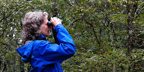 Beginner Birding & Community Science at Springside Park, Pittsfield
