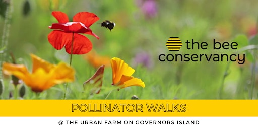 Primaire afbeelding van Pollinator Walk @ The Bee Conservancy on Governors Island
