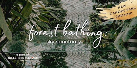 Forest Bathing: sky sanctuary