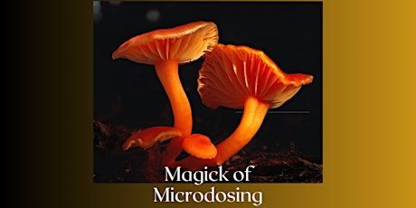 The Magick of Microdosing: Psilocybin and Healing (Virtual Teachings)