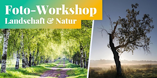 Foto-Workshop: Landschafts- & Naturfotografie
