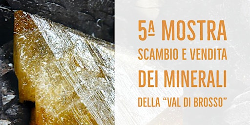 5ª Mostra scambio e vendita dei minerali della "Val di Brosso" primary image
