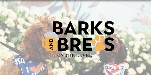 Barks & Brews primary image