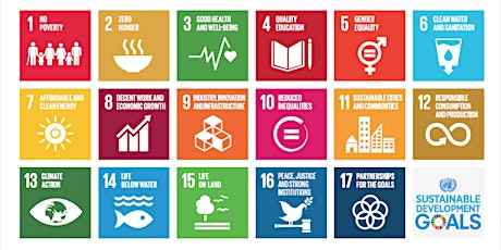 The Sustainable Development Goals in a World Gone Mad primary image