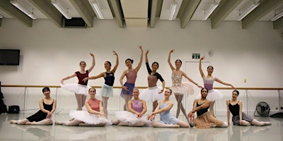 DISCOUNTED: Learn a famous ballet variation - Private workshop (Virtual) primary image