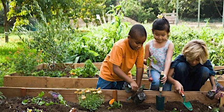 Gardening for Kids: PLANTS