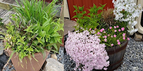 Container Gardening With Natives  - Demonstration and Talk 10 am or 2  pm primary image