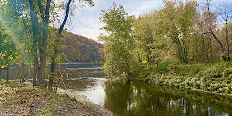 Weekend Walkers - Bulls Island Trails